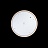 Потолочный Светильник Axel 10001/36 White фото 5